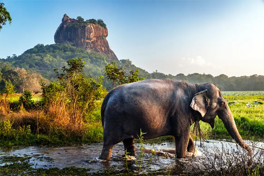 Sri Lanka