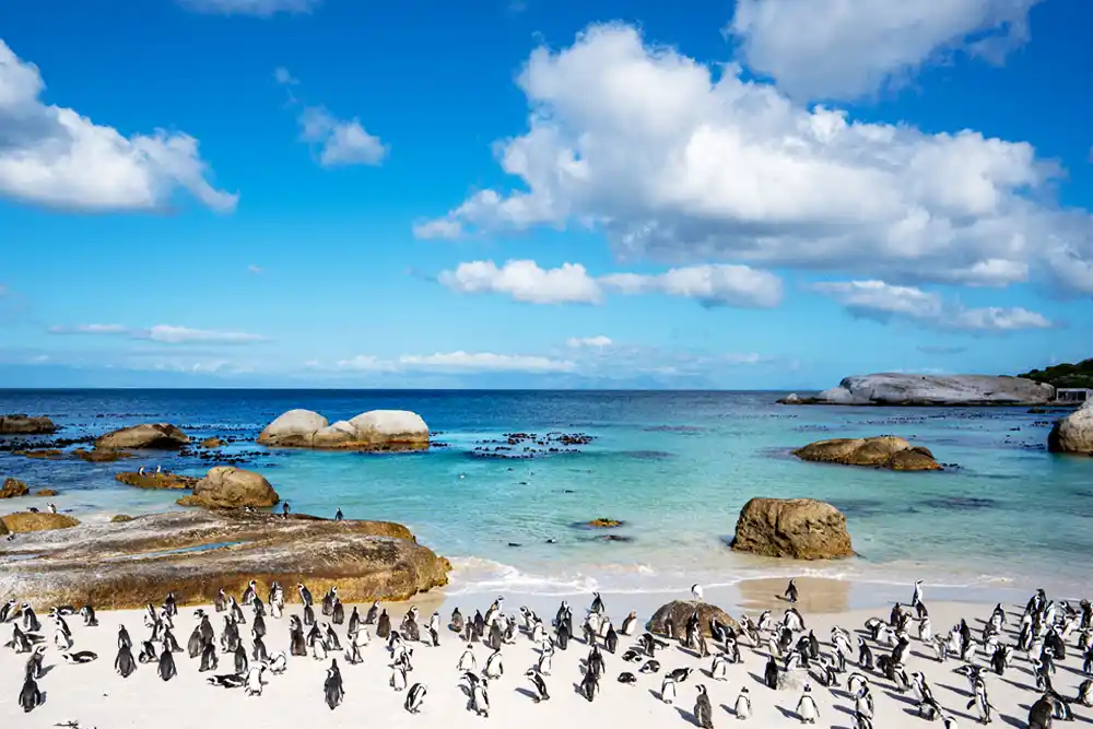 Cape Town (South Africa)