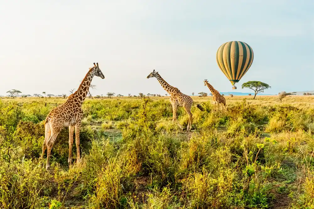 Tanzania, East Africa